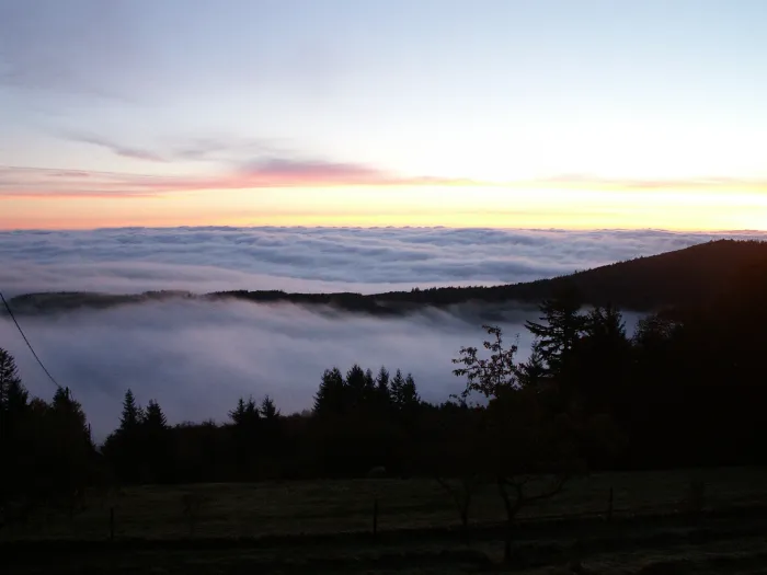 Nappe de brouillard