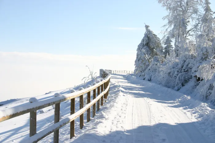 Chemin enneigé