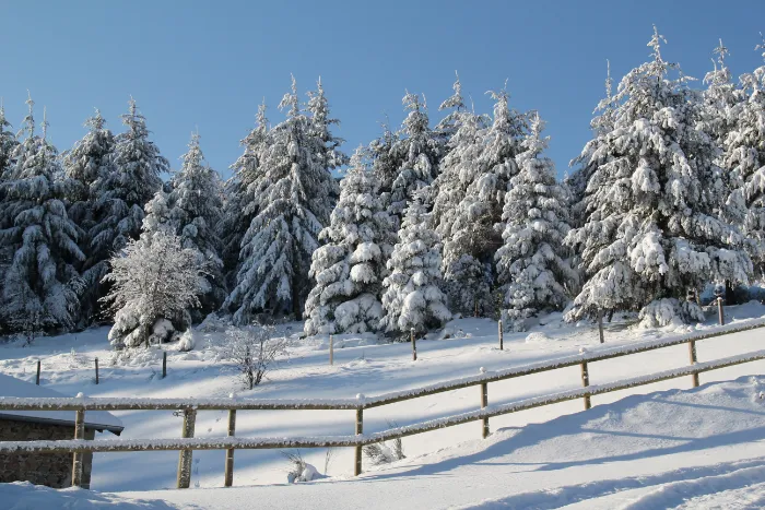 Neige à Bécajat
