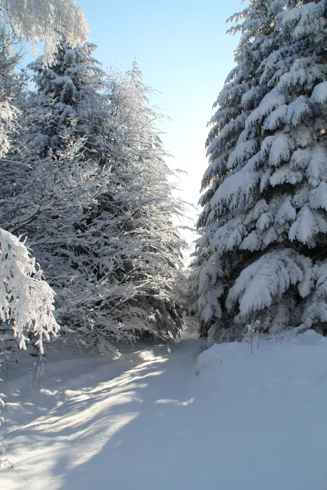 Neige à Bécajat