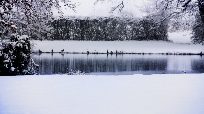 L'étang en hivers